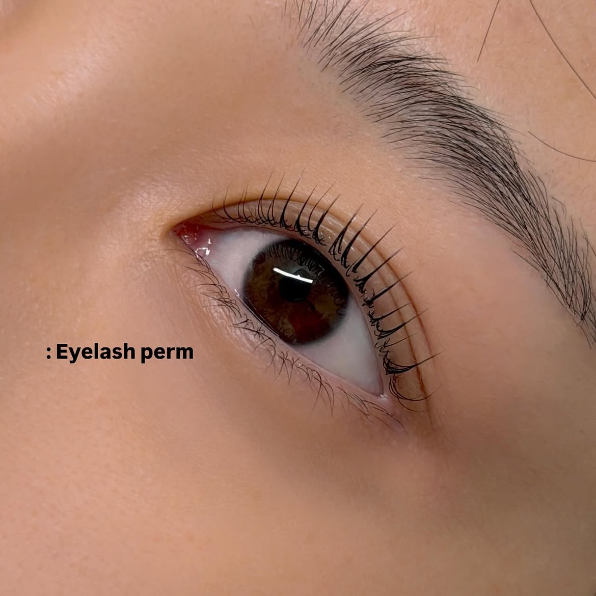 로엔뷰티 — Nail · Lash perm work 7 · 대구 | Beautia