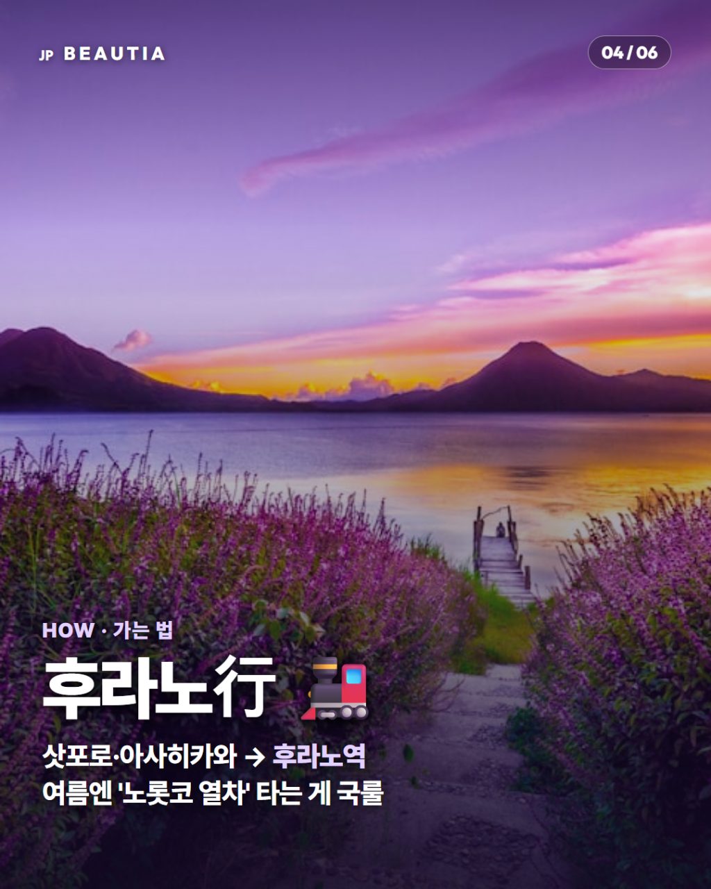 일본에 1년에 딱 한 달만 열리는 '보라색 천국' 💜 (홋카이도 후라노 라벤더 시즌) 사진