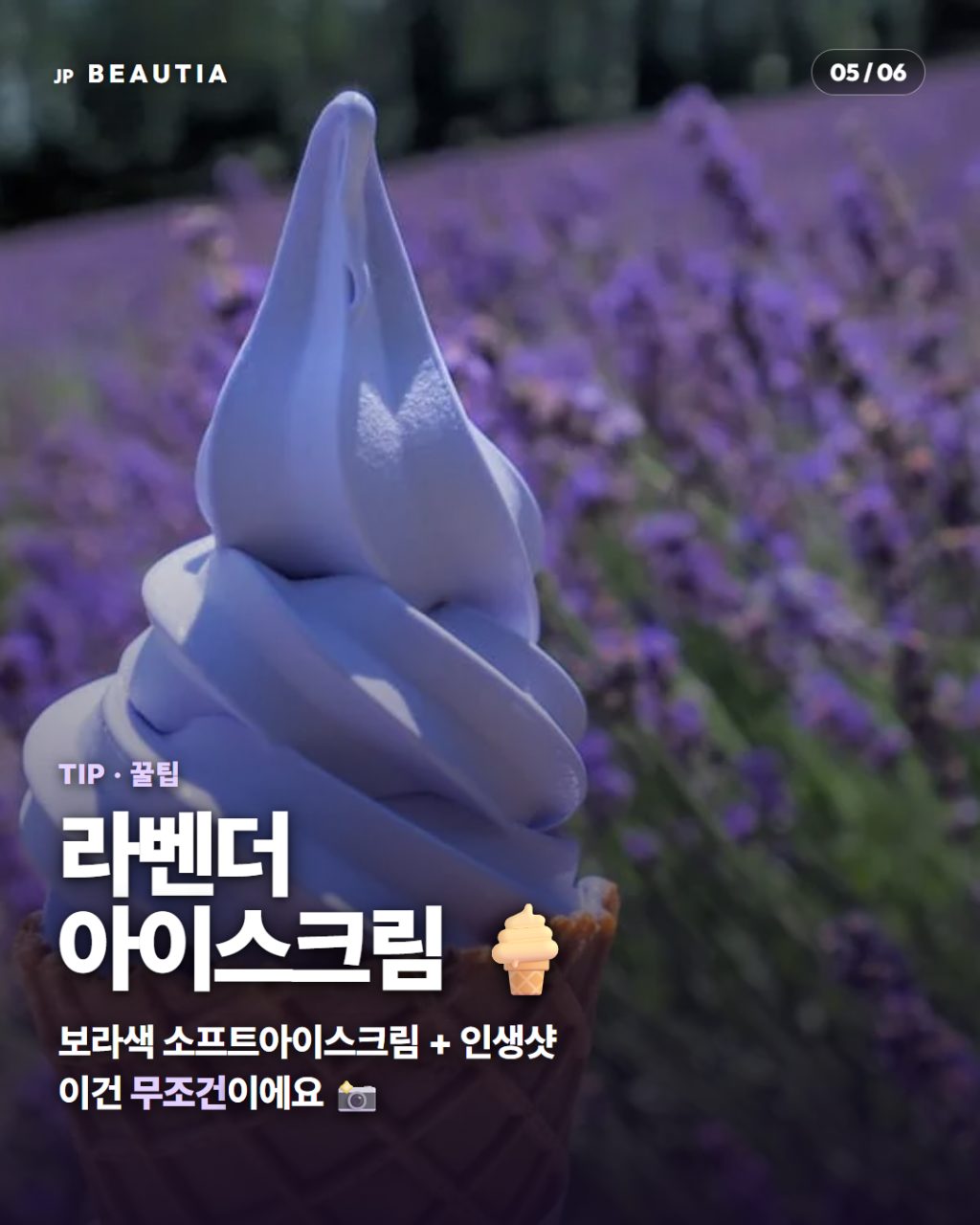 일본에 1년에 딱 한 달만 열리는 '보라색 천국' 💜 (홋카이도 후라노 라벤더 시즌) 사진
